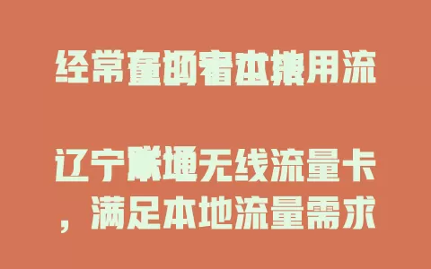 经常在辽宁本地用流量的看过来

联通辽宁本地无线流量卡，满足本地流量需求。充足额度，网络稳定，使用便捷，刷剧玩游戏、工作都不愁，是流量需求大的你的不错之选