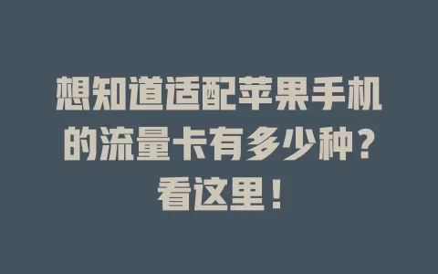 想知道适配苹果手机的流量卡有多少种?看这里!