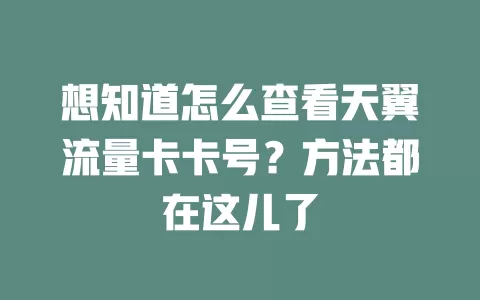 想知道怎么查看天翼流量卡卡号?方法都在这儿了
