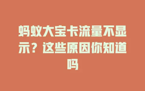 蚂蚁大宝卡流量不显示?这些原因你知道吗