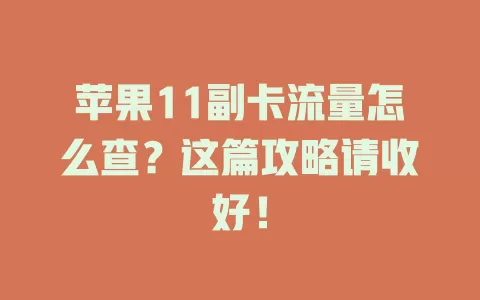 苹果11副卡流量怎么查?这篇攻略请收好!