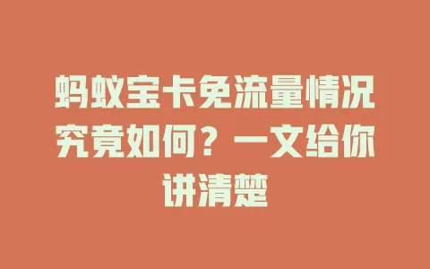 蚂蚁宝卡免流量情况究竟如何?一文给你讲清楚