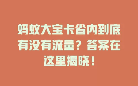 蚂蚁大宝卡省内到底有没有流量?答案在这里揭晓!
