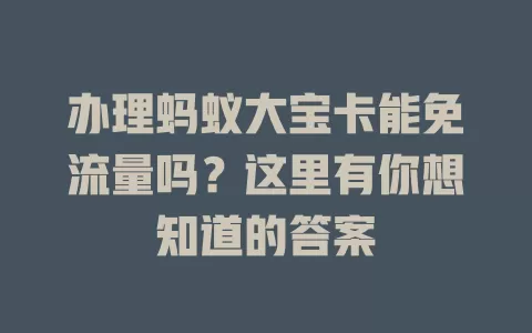 办理蚂蚁大宝卡能免流量吗?这里有你想知道的答案