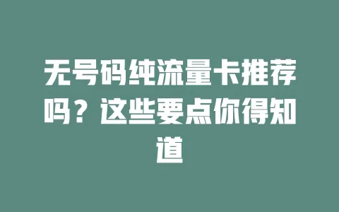 无号码纯流量卡推荐吗?这些要点你得知道