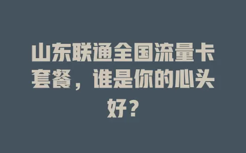 山东联通全国流量卡套餐,谁是你的心头好?