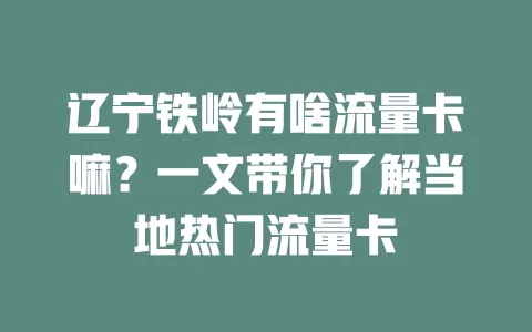 辽宁铁岭有啥流量卡嘛?一文带你了解当地热门流量卡
