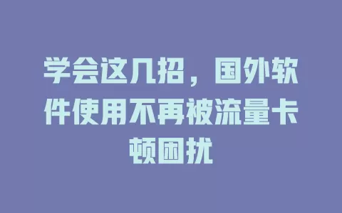 学会这几招,国外软件使用不再被流量卡顿困扰