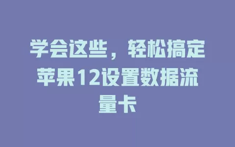 学会这些,轻松搞定苹果12设置数据流量卡