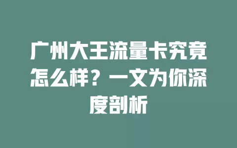 广州大王流量卡究竟怎么样?一文为你深度剖析