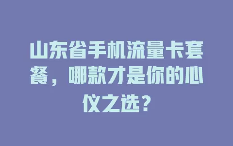 山东省手机流量卡套餐,哪款才是你的心仪之选?