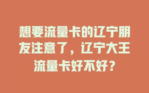 想要流量卡的辽宁朋友注意了,辽宁大王流量卡好不好?