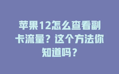苹果12怎么查看副卡流量？这个方法你知道吗？