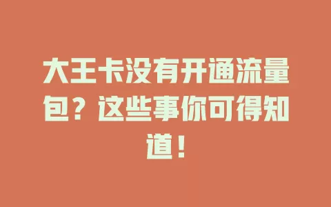 大王卡没有开通流量包?这些事你可得知道!