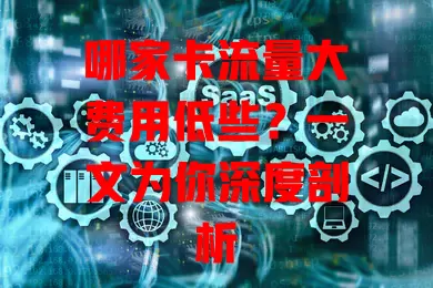 哪家卡流量大费用低些?一文为你深度剖析