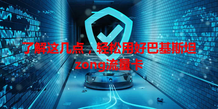 了解这几点,轻松用好巴基斯坦zong流量卡