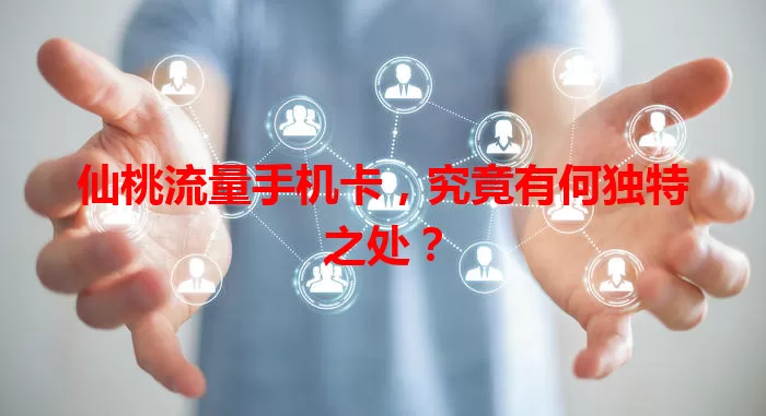 仙桃流量手机卡,究竟有何独特之处?