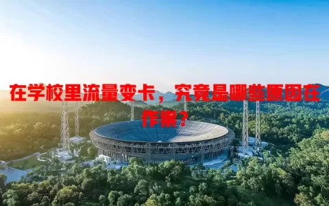 在学校里流量变卡，究竟是哪些原因在作祟？