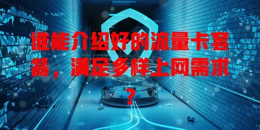 谁能介绍好的流量卡套餐,满足多样上网需求?