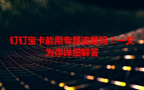 钉钉宝卡能用专属流量吗？一文为你详细解答
