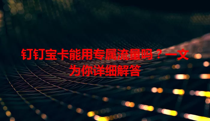 钉钉宝卡能用专属流量吗?一文为你详细解答