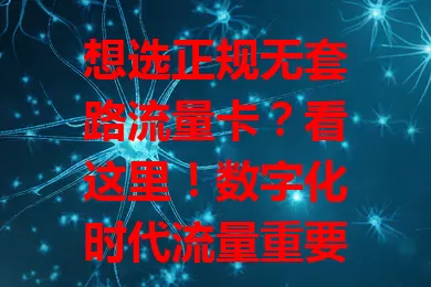 想选正规无套路流量卡?看这里!数字化时代流量重要,流量卡受青睐,但市场卡种杂。教你啥是正规无套路卡,选它的好处,及辨别方法,选卡要谨慎,确保畅享便利