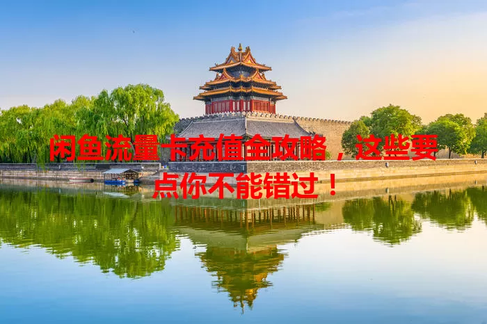闲鱼流量卡充值全攻略,这些要点你不能错过!
