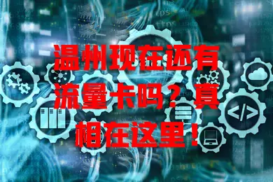 温州现在还有流量卡吗?真相在这里!