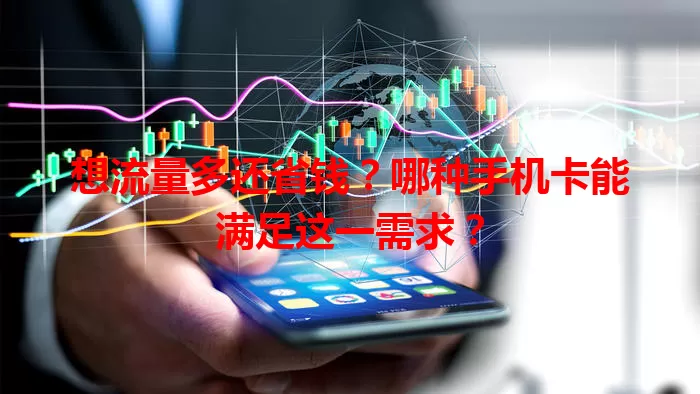 想流量多还省钱?哪种手机卡能满足这一需求?