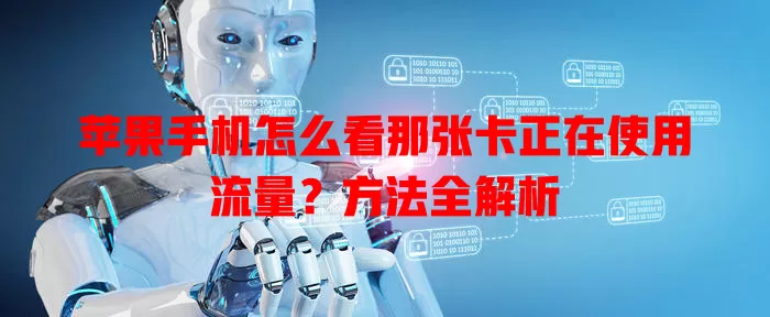 苹果手机怎么看那张卡正在使用流量?方法全解析