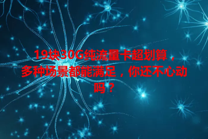 19块30G纯流量卡超划算,多种场景都能满足,你还不心动吗?