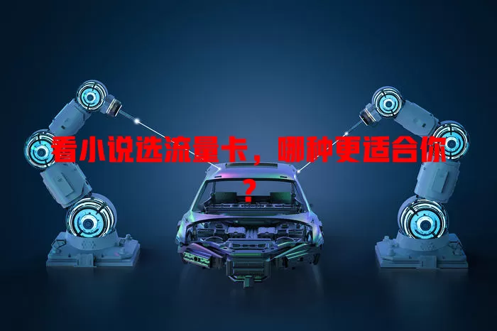 看小说选流量卡,哪种更适合你?