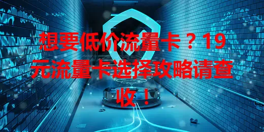 想要低价流量卡?19元流量卡选择攻略请查收!