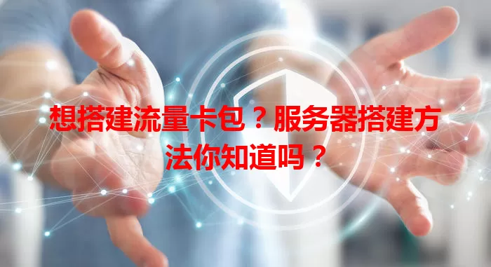 想搭建流量卡包?服务器搭建方法你知道吗?