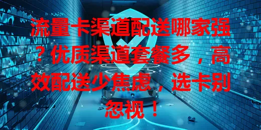 流量卡渠道配送哪家强?优质渠道套餐多,高效配送少焦虑,选卡别忽视!