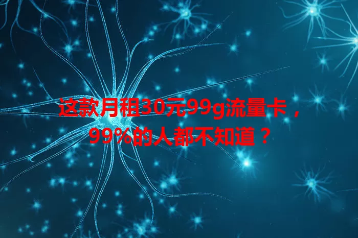 这款月租30元99g流量卡,99%的人都不知道?