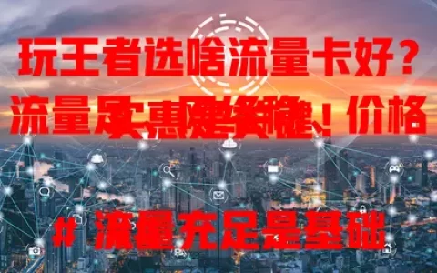 玩王者选啥流量卡好？流量足、网络稳、价格实惠是关键！

### 流量充足是基础
玩王者流量消耗快，每月 100GB 以上才合适，连续玩几天也不愁流量。

### 网络稳定是关键
网络不稳技术白搭，优质流量卡减少延迟卡顿，团战时刻精准操作。

### 价格实惠很重要
长期玩王者，选性价比高的流量卡，几十元享大量流量和稳定网络。

总之，综合考量选适合的流量卡，就能在王者世界尽情驰骋！