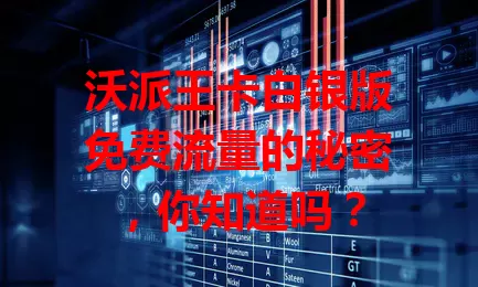 沃派王卡白银版免费流量的秘密,你知道吗?