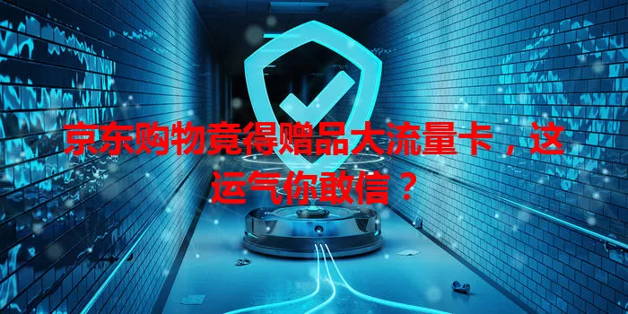 京东购物竟得赠品大流量卡,这运气你敢信?