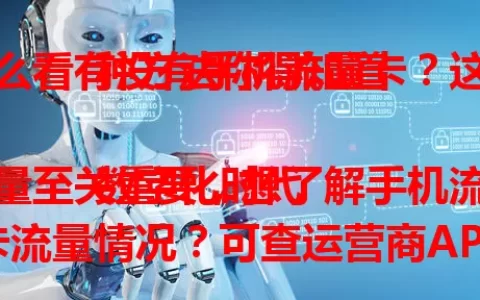 怎么看有没有手机流量卡？这几种方法你得知道

数字化时代流量至关重要，想了解手机流量卡流量情况？可查运营商APP、拨客服电话、看手机自带功能或短信查询，掌握方法避免流量超支，随时掌握流量动态。