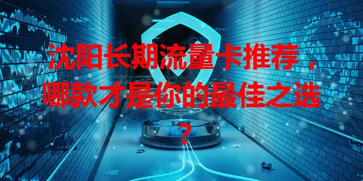 沈阳长期流量卡推荐,哪款才是你的最佳之选?