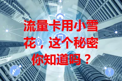 流量卡用小雪花,这个秘密你知道吗?