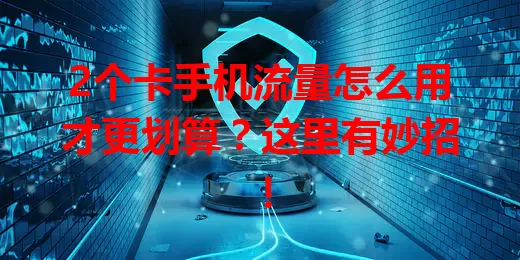 2个卡手机流量怎么用才更划算?这里有妙招!