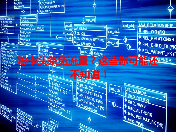粉卡头条免流量?这些你可能还不知道!