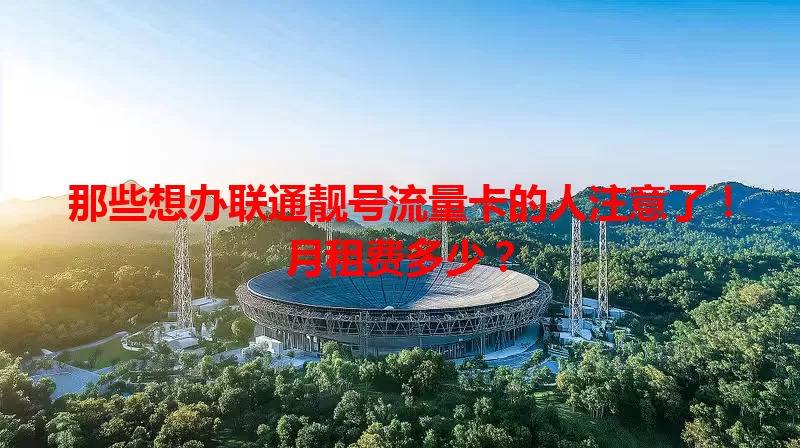 那些想办联通靓号流量卡的人注意了!月租费多少?