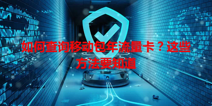 如何查询移动包年流量卡?这些方法要知道