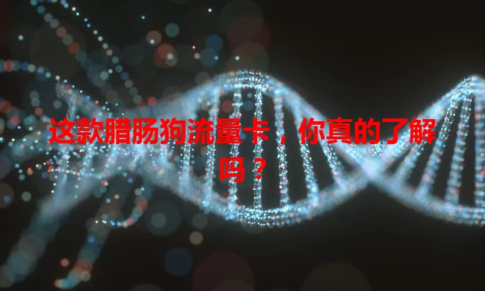这款腊肠狗流量卡,你真的了解吗?
