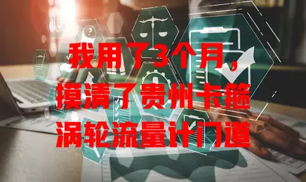 我用了3个月,摸清了贵州卡箍涡轮流量计门道