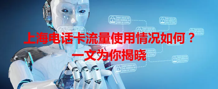 上海电话卡流量使用情况如何?一文为你揭晓