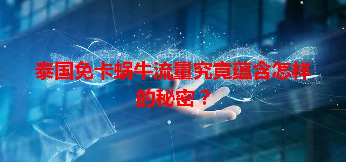 泰国免卡蜗牛流量究竟蕴含怎样的秘密?